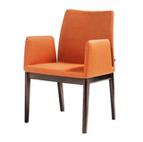 Frame Woody Armchair